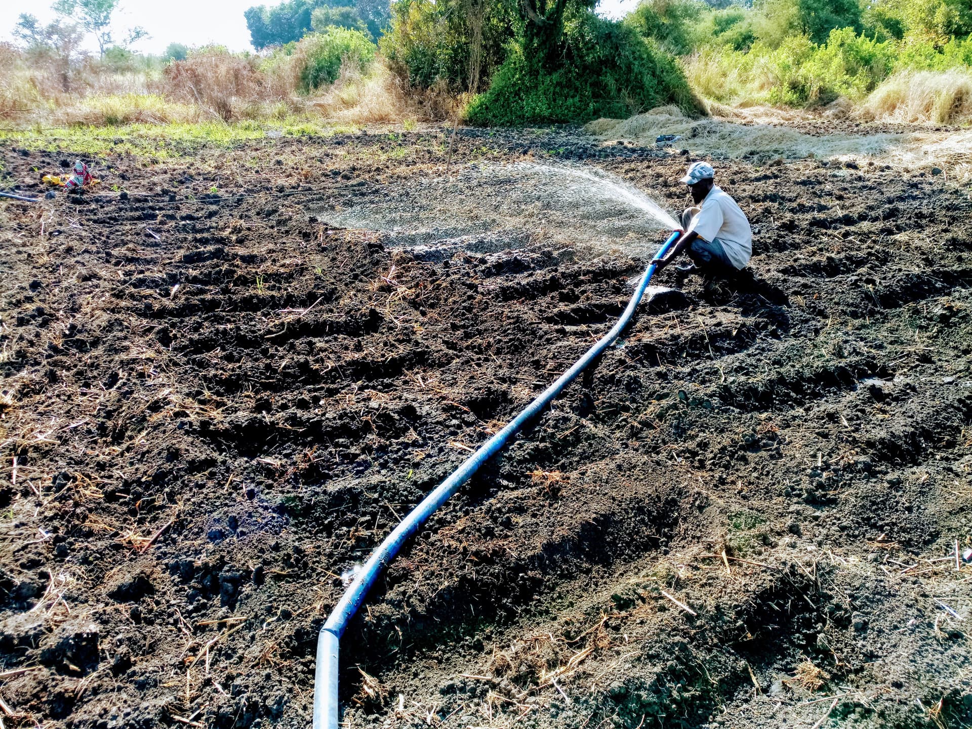 Inovação para a Segurança Alimentar